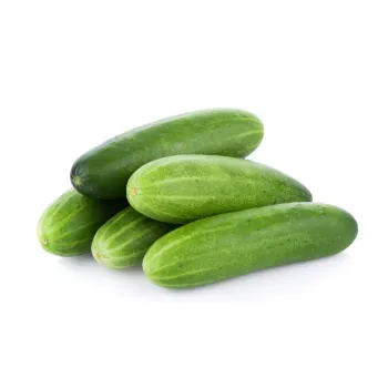 Cucumber  (35)-5387061-54360.webp